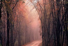 开云体育登录-翡冷翠玫瑰怒放！意大利女足血战晋级，她们踢碎了所有偏见