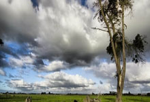 开云下载-刚刚NBA：梅西晋级C罗？！出线形势明朗，跨界天王之战引爆全球营销新赛道