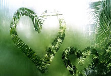 开云官网-双线风暴！利物浦遭三狮掏空筋骨，美洲杯暗涌噬人漩涡