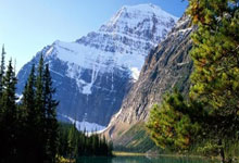 开云体育登录-翡冷翠玫瑰怒放！意大利女足血战晋级，她们踢碎了所有偏见