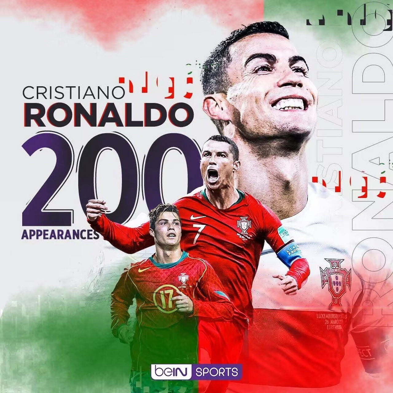 开云体育中国-葡萄牙主场大胜冰岛，险些晋级欧洲杯的简单介绍