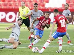 格拉纳达告负瓦拉度利德，遭遇失利的简单介绍