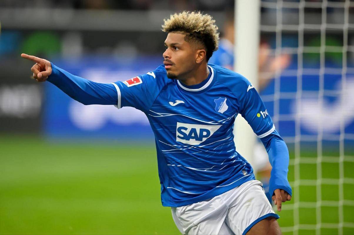 霍芬海姆签下新后卫,强化防守实力的简单介绍 霍芬海姆签下新后卫,强化防守实力的简单介绍