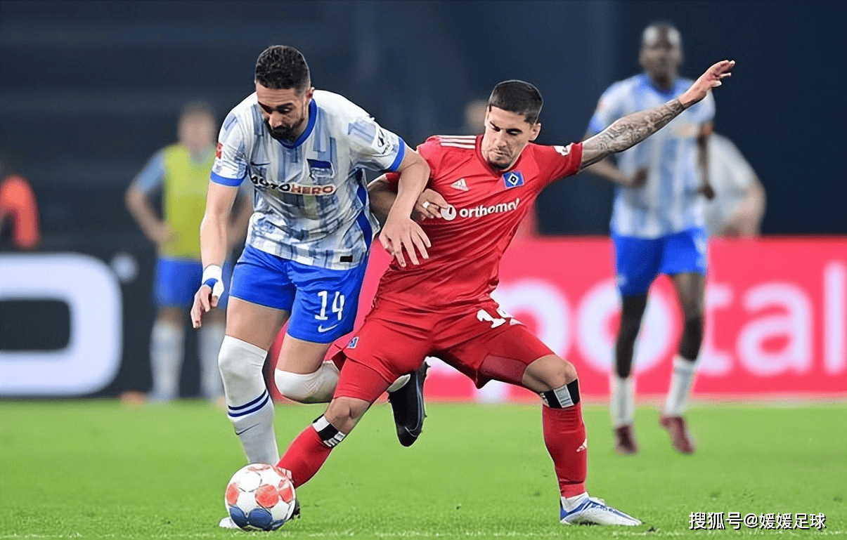 汉堡在主场战胜对手取得胜利 汉堡在主场战胜对手取得胜利