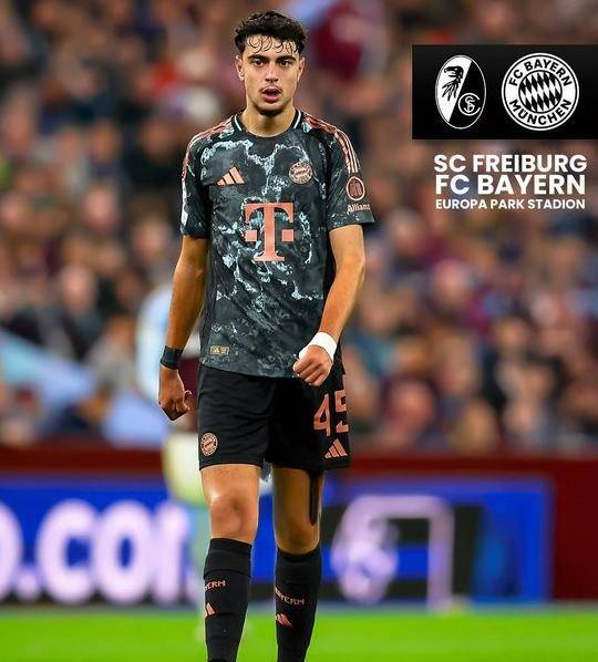 弗赖堡主场两连败，保级希望陷入泥潭的简单介绍